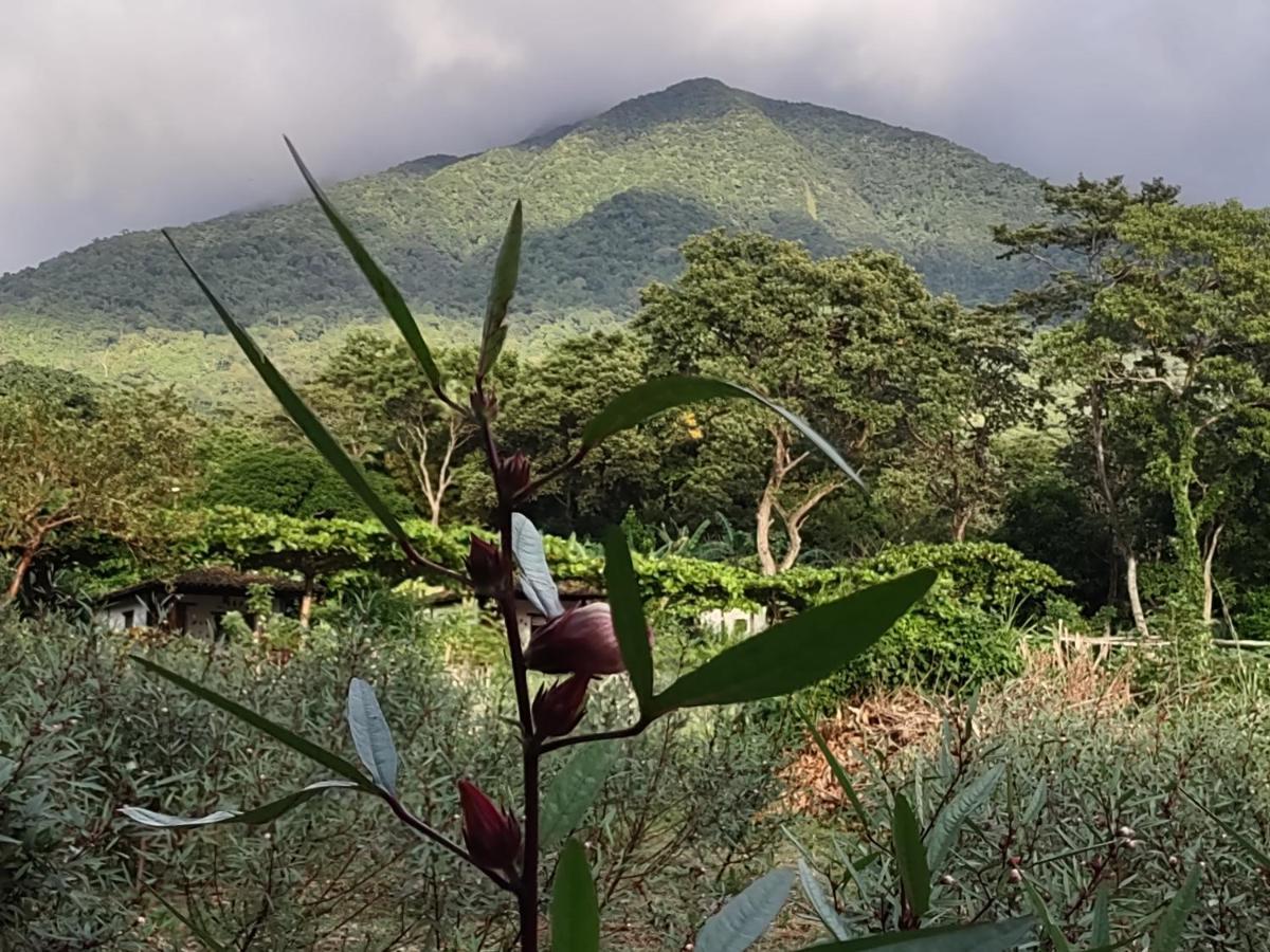 Finca Mystica Mérida Kültér fotó