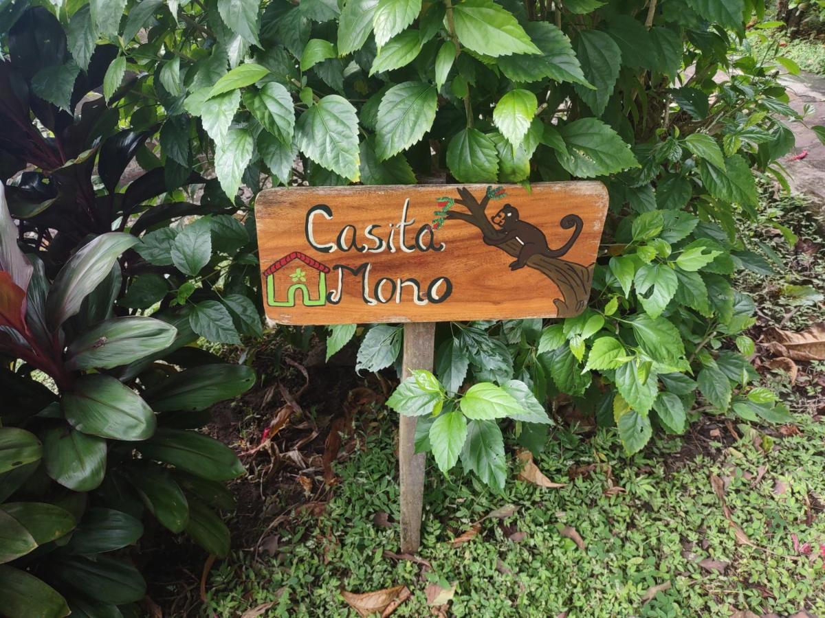 Finca Mystica Mérida Kültér fotó