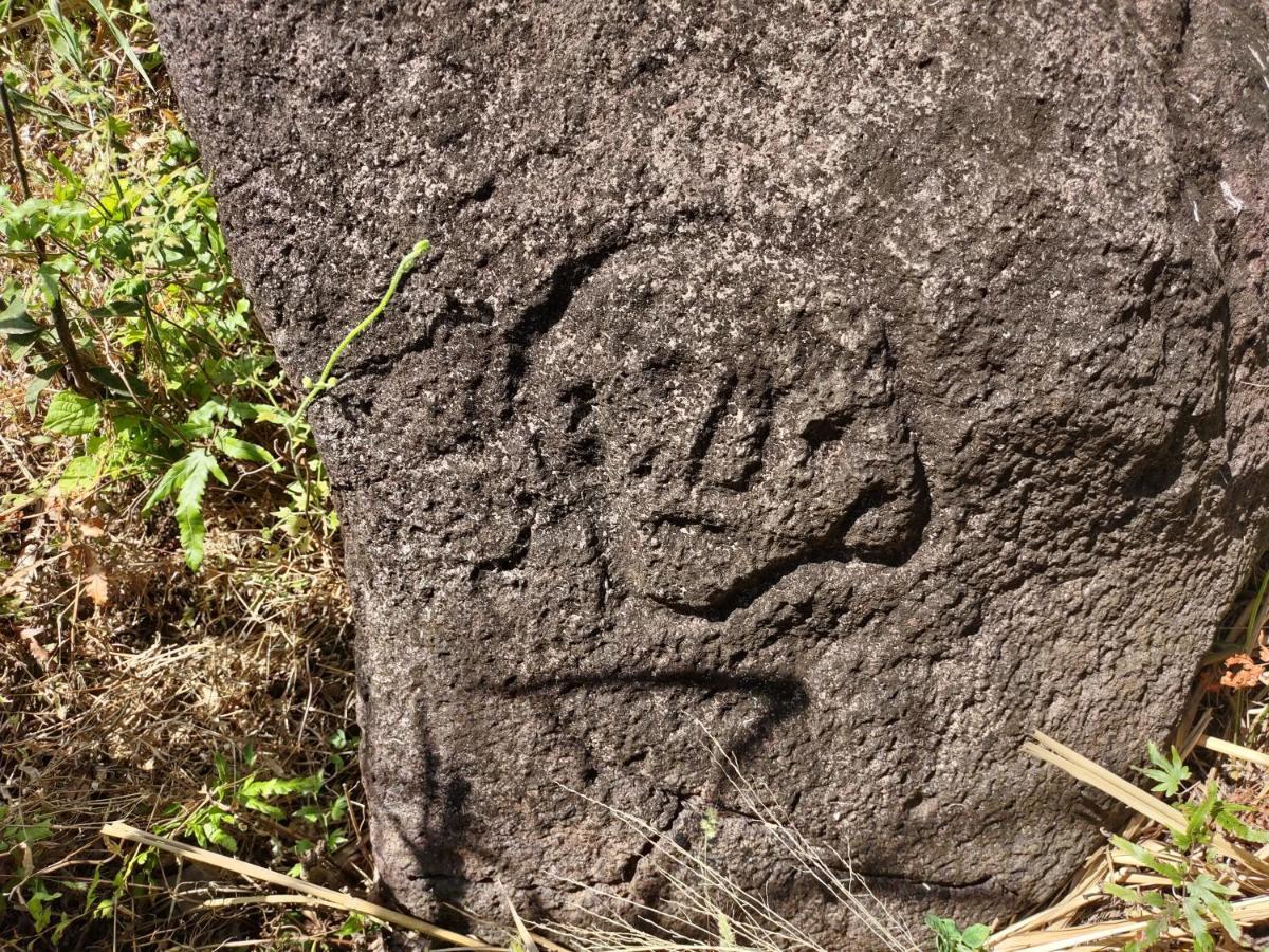 Finca Mystica Mérida Kültér fotó