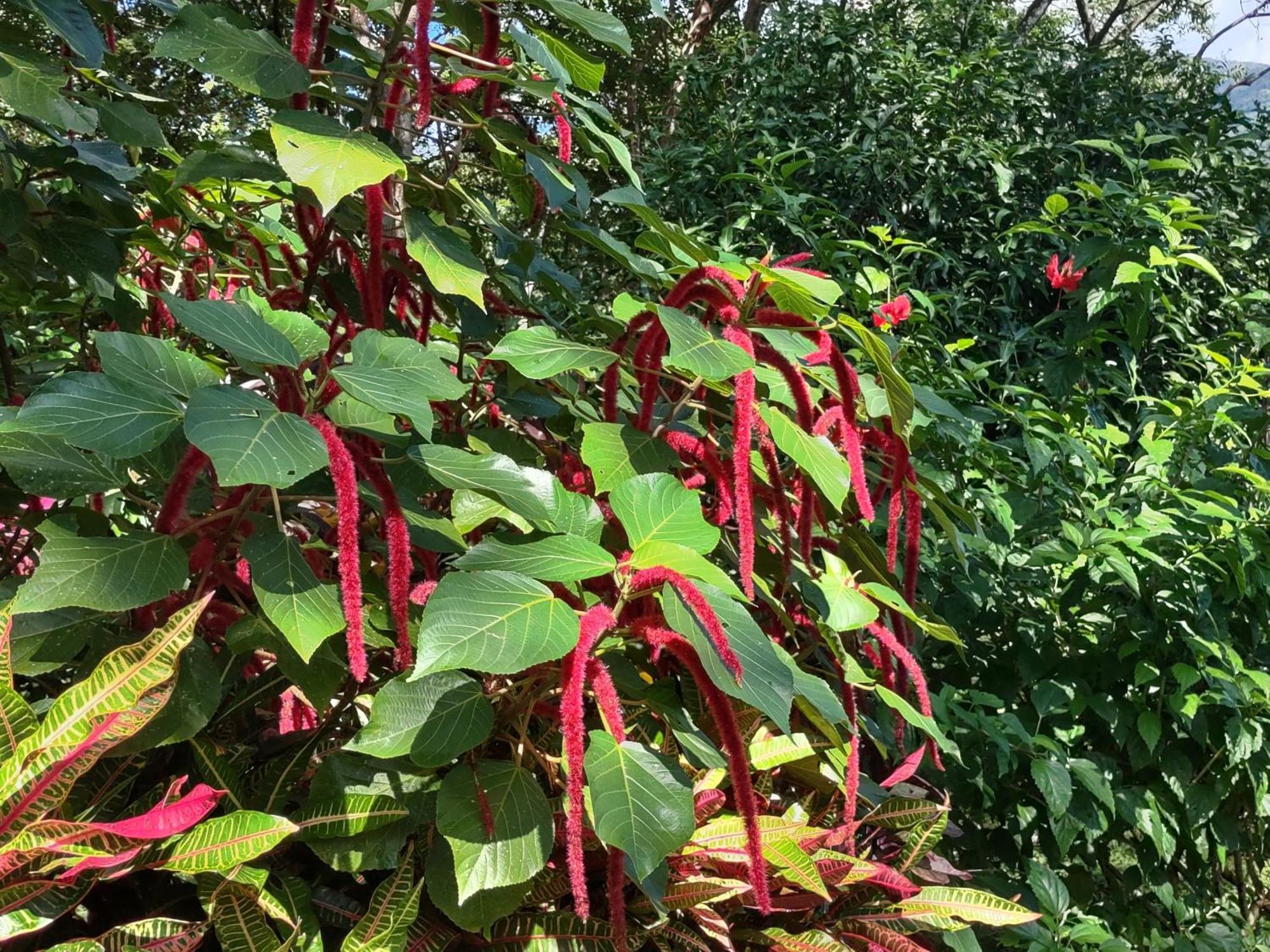 Finca Mystica Mérida Kültér fotó