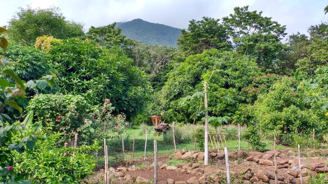 Finca Mystica Mérida Kültér fotó