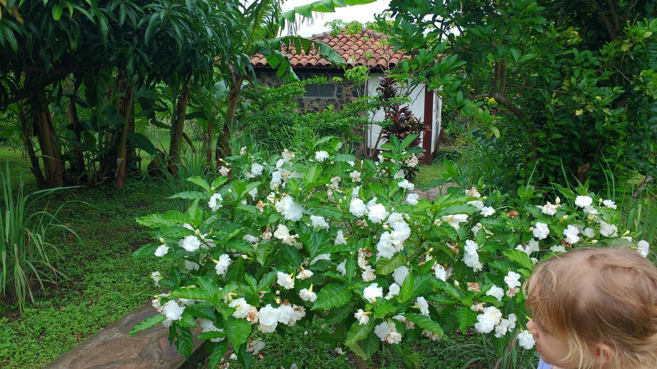 Finca Mystica Mérida Kültér fotó