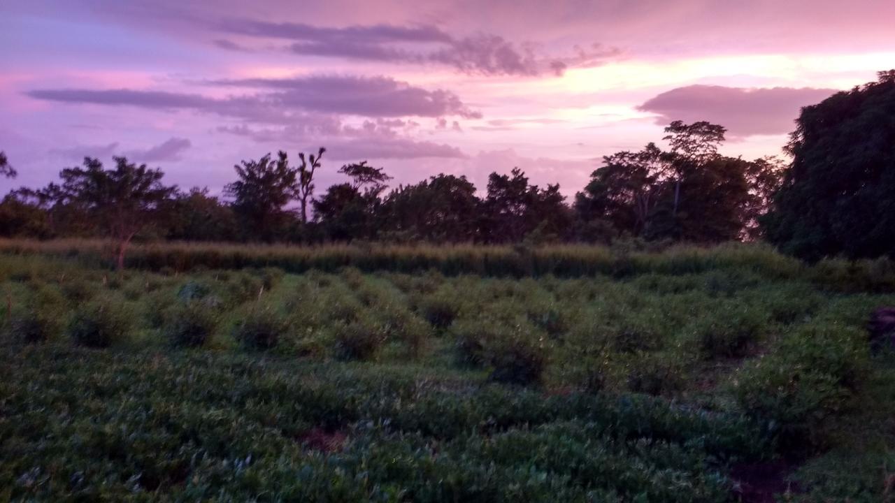 Finca Mystica Mérida Kültér fotó